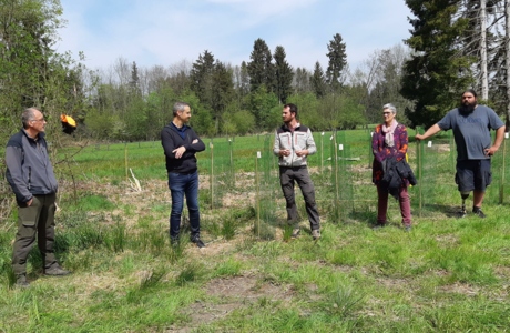 Baumpflanzaktion Baumpflanzaktion