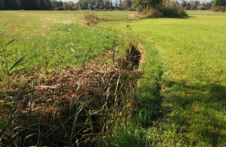 Foto1_20211008_115254_c_RM Europaschutzgebiete