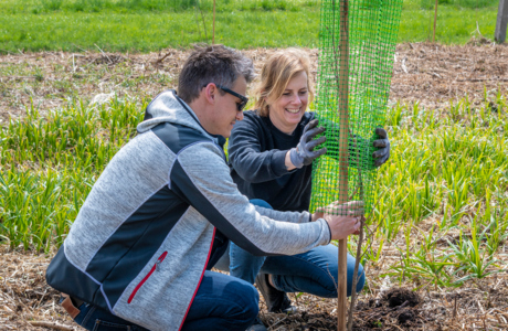 Baumpflanzaktion Baumpflanzaktion