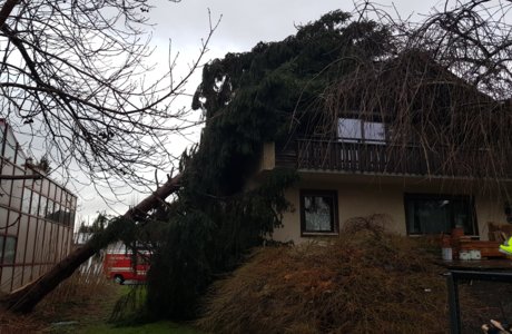 Feuerwehreinsatz Sturm Burglind_Baum auf Haus