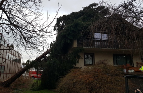 Feuerwehreinsatz Sturm Burglind_Baum auf Haus Feuerwehreinsatz Sturm Burglind_Baum auf Haus