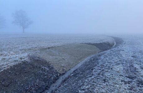 Foto2_Grabenabflachung 2_c_RM Europaschutzgebiete