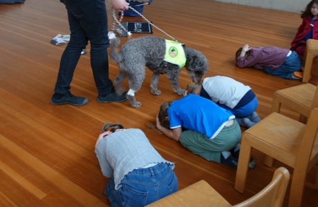 KIGA Rosenlächer: Hunde sicher verstehen KIGA Rosenlächer: Hunde sicher verstehen