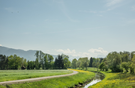 LEK Wahrnehmungsfahrt Ried April 2018_print (53)