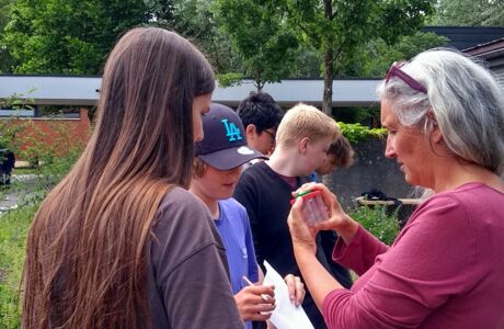 Beobachtungstag-VS-MS-Hasenfeld_Becherlupe Ines Linke (2)