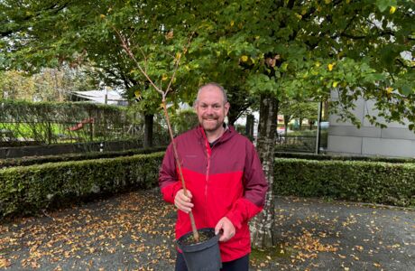 Schattenbaum_SimonVetter02