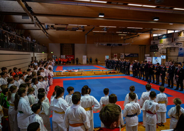Erfolgreicher Karate Lions Cup