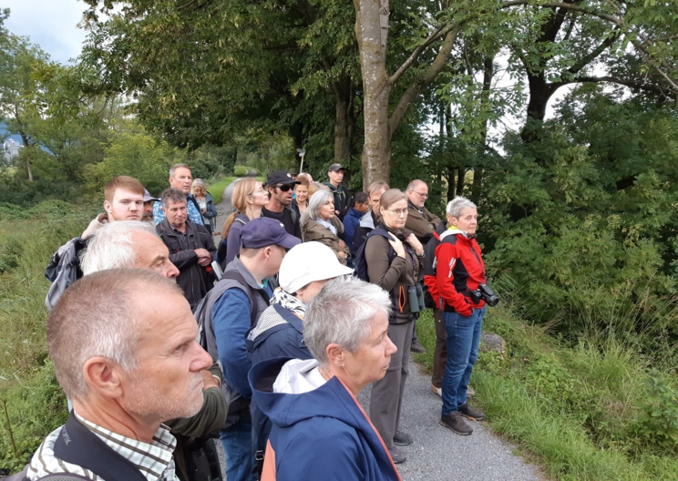 Natura 2000-Exkursion zur Naturinsel Obere Mähder