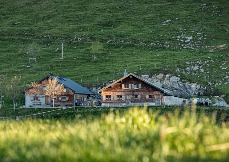 Pächter:in für die Alpen Schönermann und Briedler gesucht