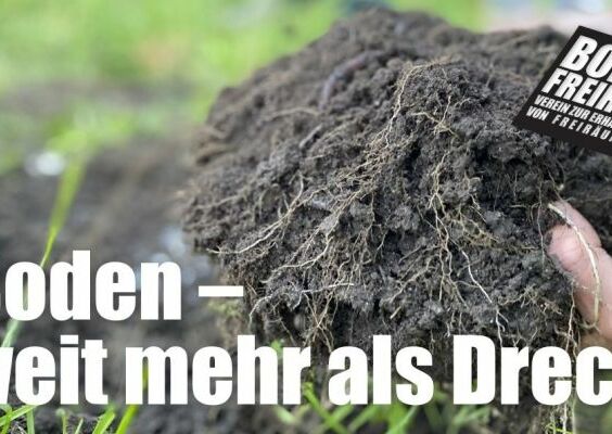 Vortrag: Boden – weit mehr als Dreck