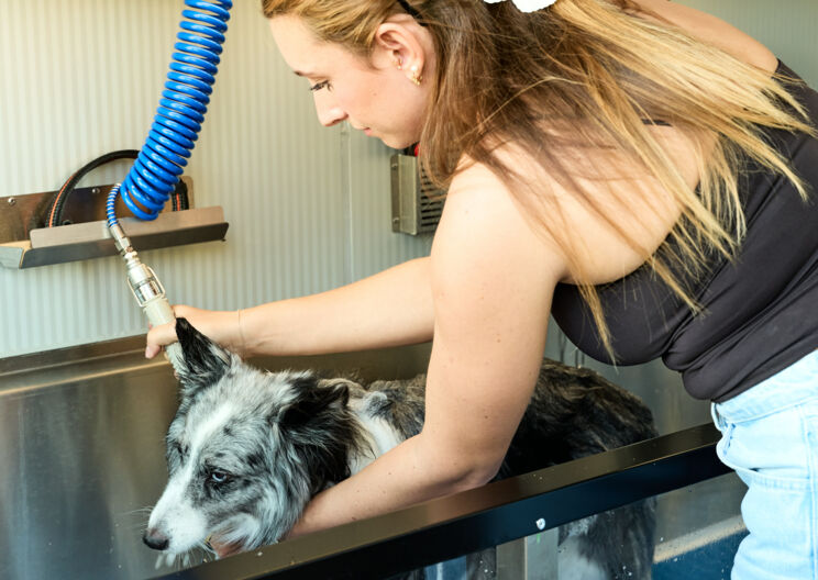 Saubere Sache für pelzige Vierbeiner: Wash & Woof