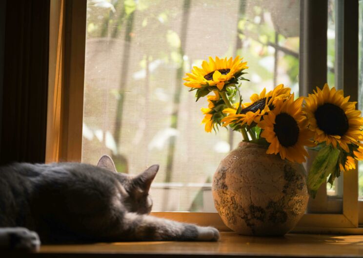 Vortrag „Einsamkeit – was sie mit uns macht und wie wir ihr begegnen können“