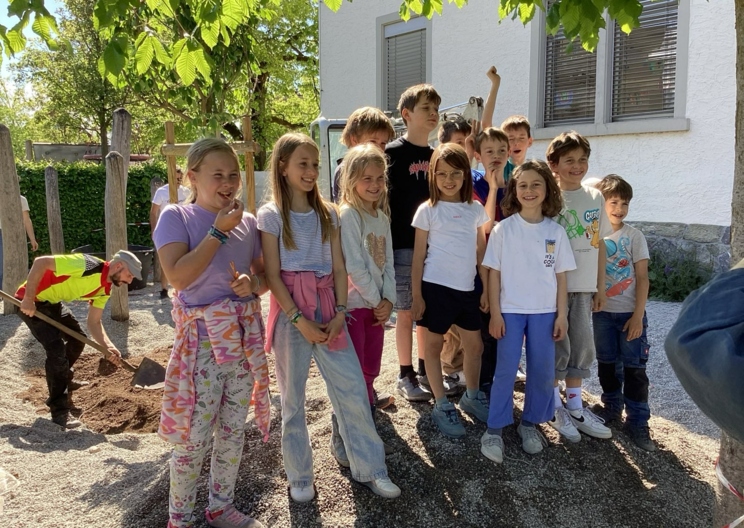 Summa summarum: Ein Bienenbaum für Lustenau!