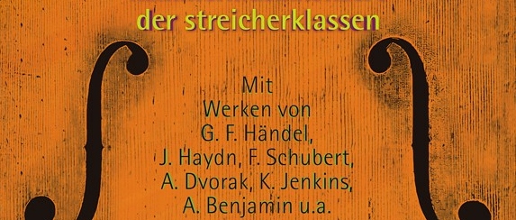Digiflyer Streicher 19 Digiflyer Streicher 19