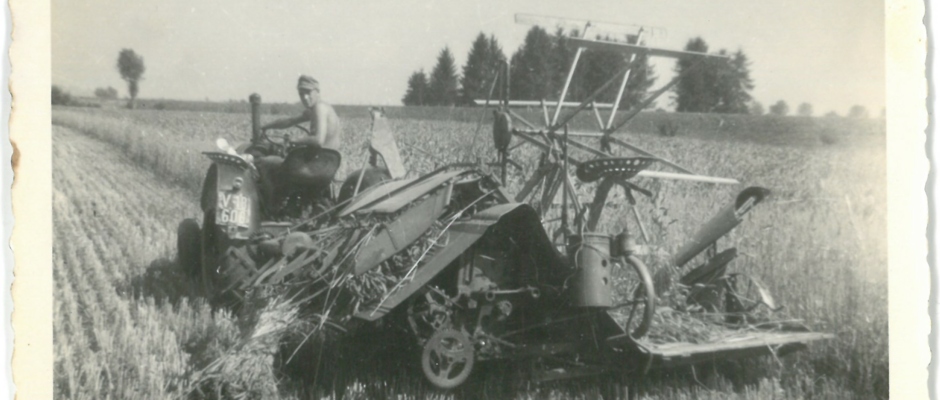 Ernte Heidensand 50er Jahre Ernte Heidensand 50er Jahre