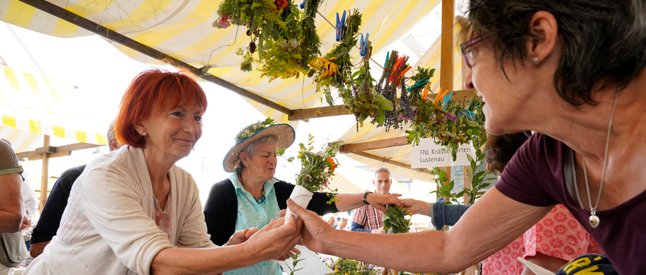 Kräutermarkt 2019 Kräutermarkt 2019