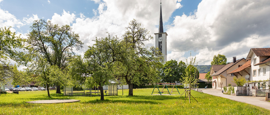 Grün- und Blühflächen ©Lukas Hämmerle (22) Grün- und Blühflächen ©Lukas Hämmerle (22)