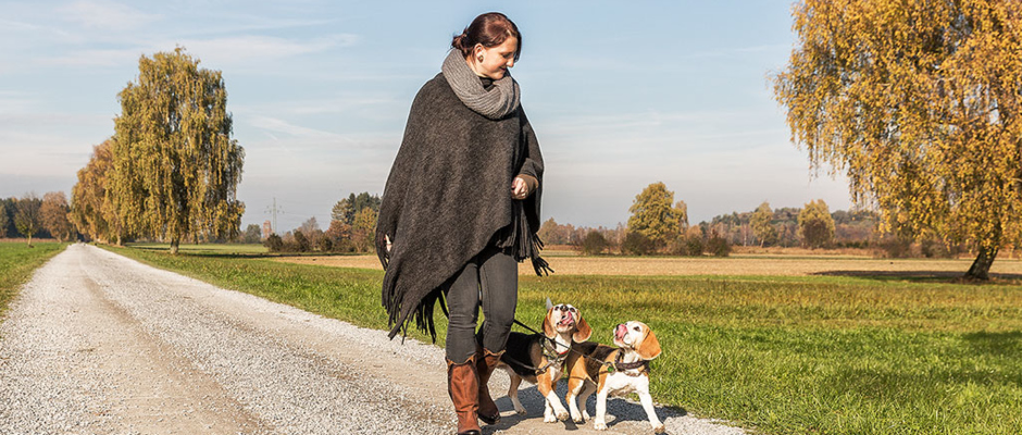 Verantwortungsvolle Hundehaltung in Lustenau