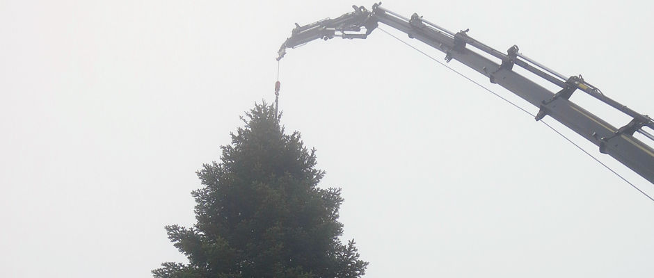 Christbaum 2018 (1) Christbaum 2018 (1)