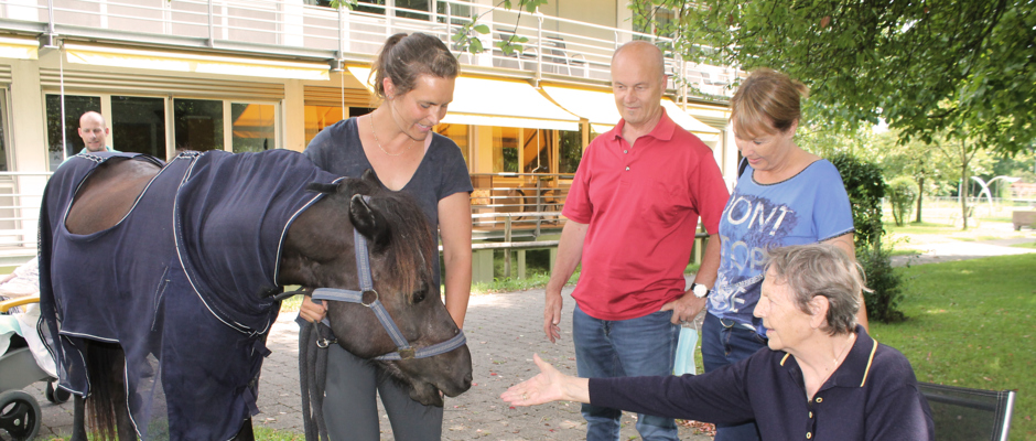 Islandpony Seniorenhaus Hasenfeld (3) Islandpony Seniorenhaus Hasenfeld (3)