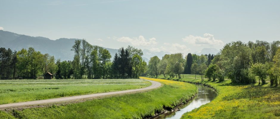 LEK Wahrnehmungsfahrt Ried April 2018_print (53) LEK Wahrnehmungsfahrt Ried April 2018_print (53)