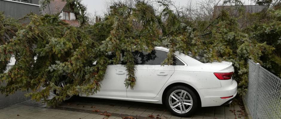 Feuerwehreinsatz Sturm Burglind_Baum auf Auto Feuerwehreinsatz Sturm Burglind_Baum auf Auto