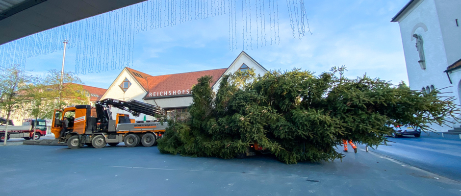 christbaum 2021-46 christbaum 2021-46