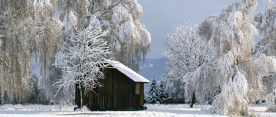 Foto Alfons Hagen Winterlandschaft im Auer Ried Lustenau Foto Alfons Hagen Winterlandschaft im Auer Ried Lustenau