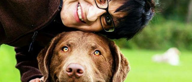 Zweitschönster Hund Zweitschönster Hund