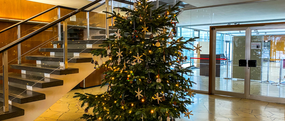 Christbaum Rathaus Christbaum Rathaus
