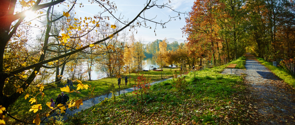 Der neugestaltete Naturpark Alter Rhein Der neugestaltete Naturpark Alter Rhein