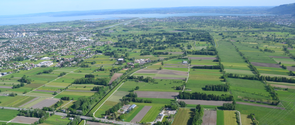Landschaftsentwicklung Lustenauer Ried Landschaftsentwicklung Lustenauer Ried