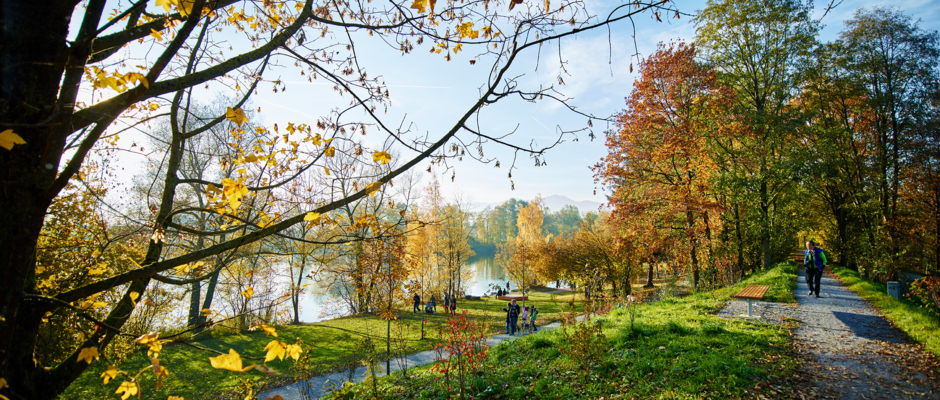 Alter_Rhein_10-2015_21 Marcel Hagen Alter_Rhein_10-2015_21 Marcel Hagen