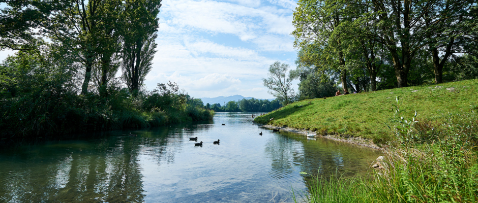 Alter-Rhein_Sommer 2017_@Marcel Hagen (2) Alter-Rhein_Sommer 2017_@Marcel Hagen (2)