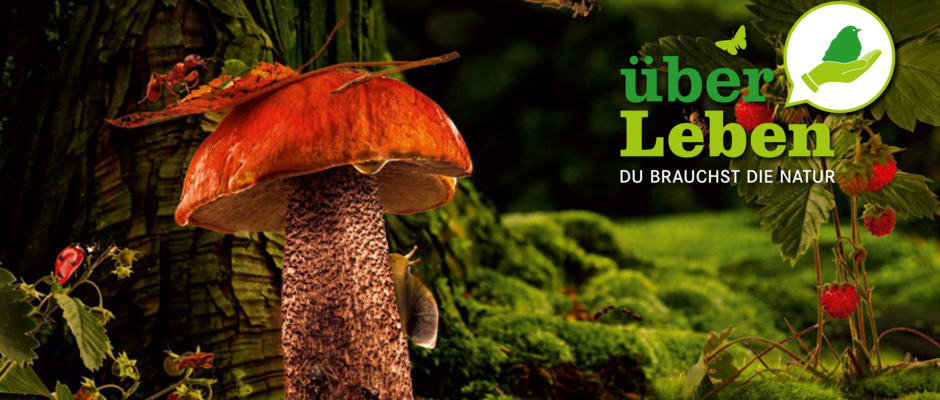 Überleben_Sujetbild Überleben_Sujetbild