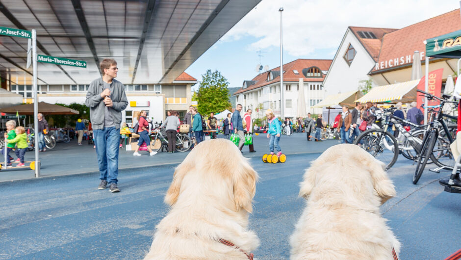 Mobilmarkt 19.09.2015 Lukas Hämmerle 52