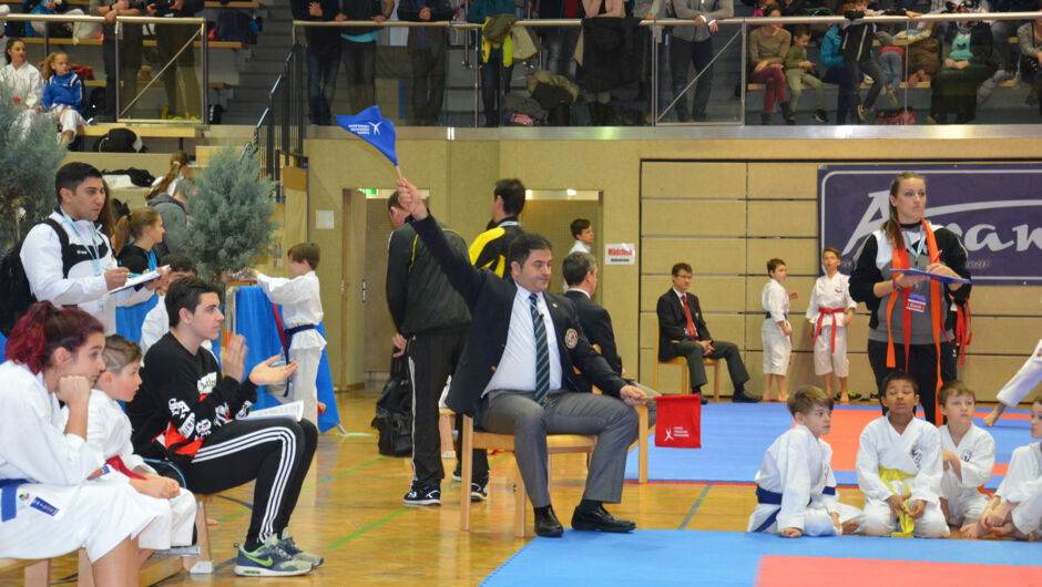 karate-lions-cup-2016--8-.jpg