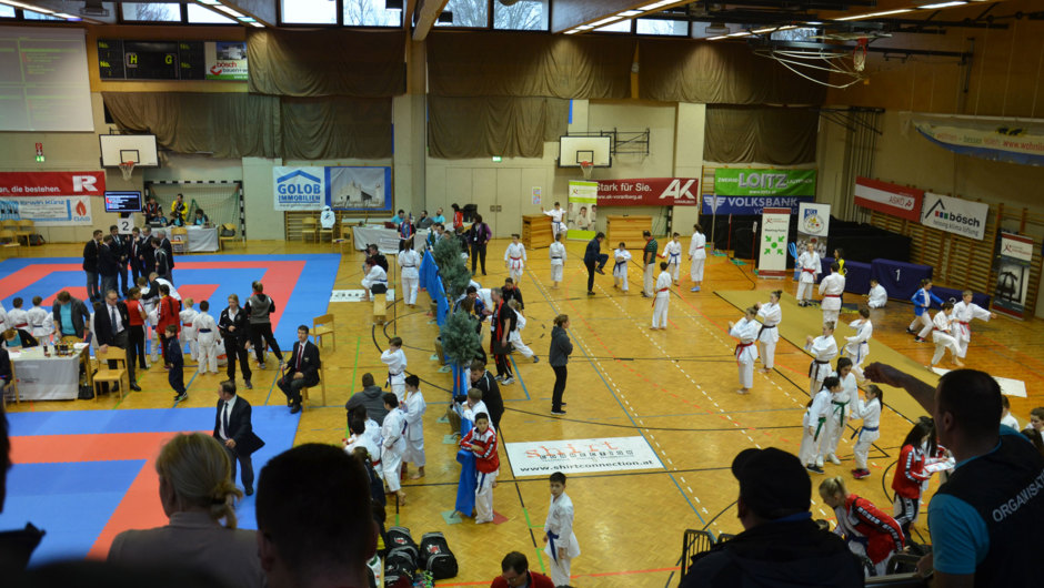 Karate-Lions-Cup-2016-(58)