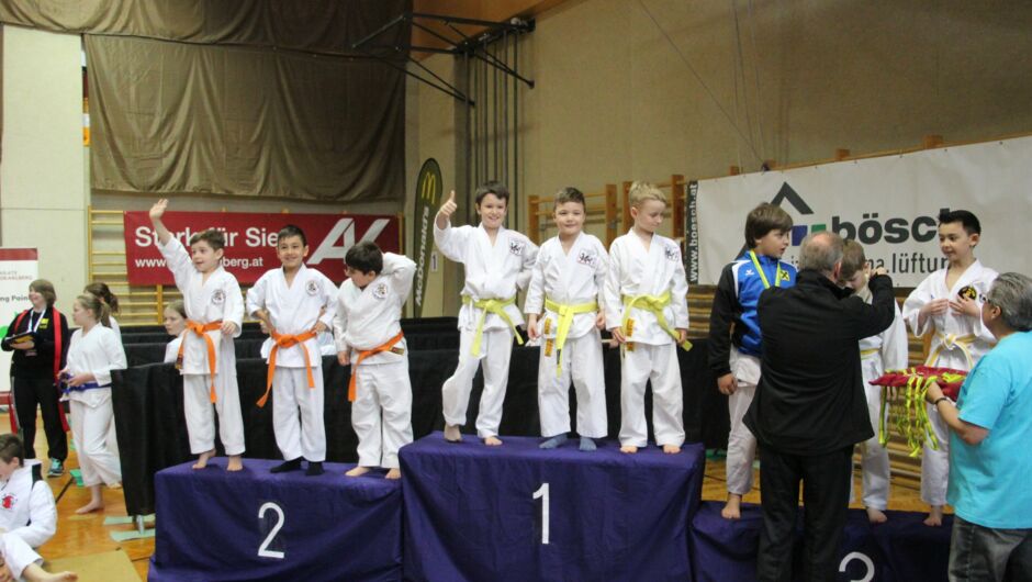 Lions Cup 2017