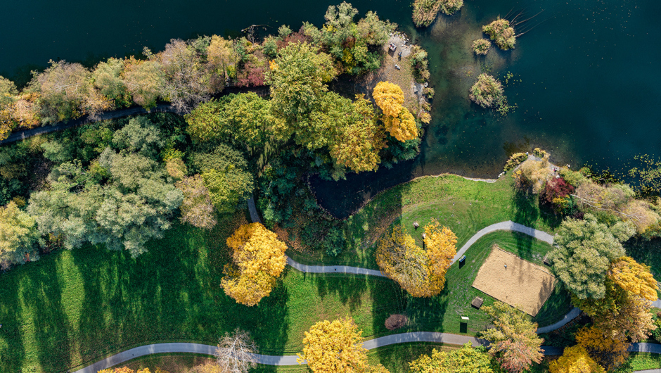 Alter Rhein Herbst