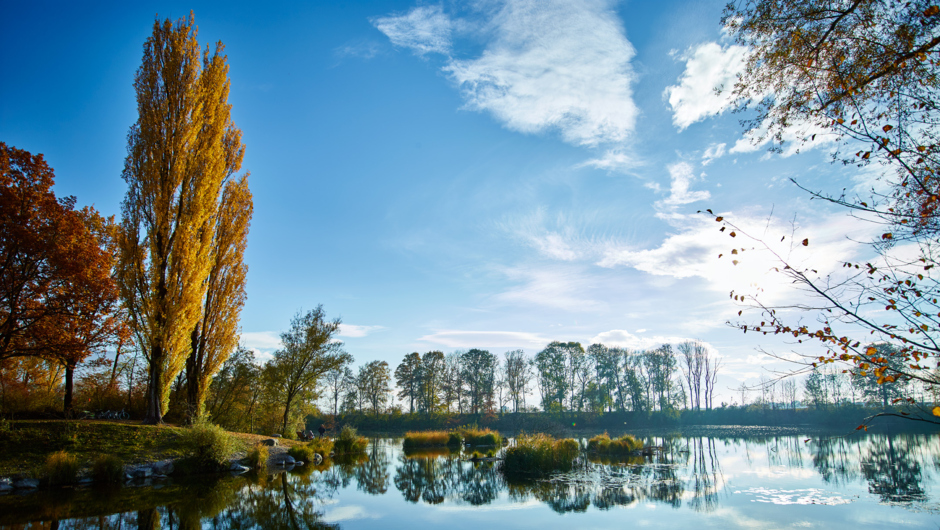 Alter Rhein Herbst