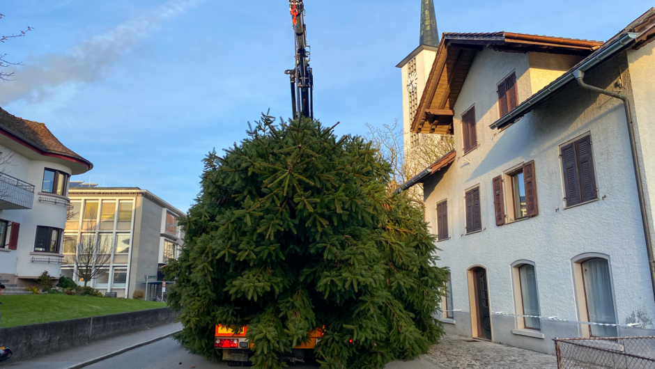 Foto4_christbaum 2021-57