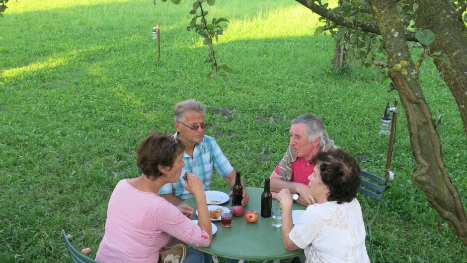 Baumspaziergang4