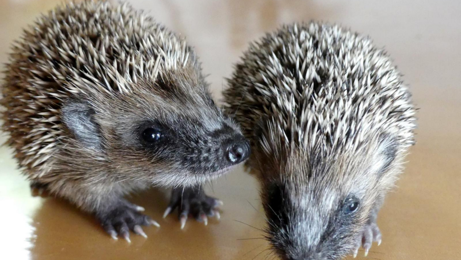 20260121_105922202_iOS