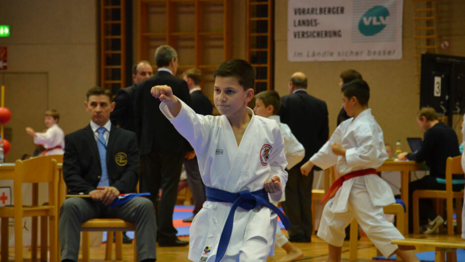 karate-lions-cup-2016--9-.jpg