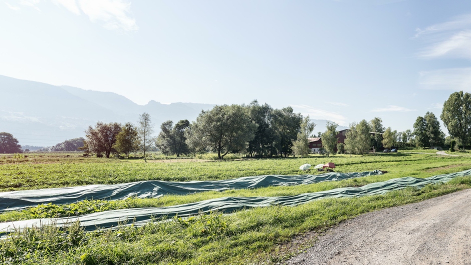 Gutshof Heidensand_Panorama (1)