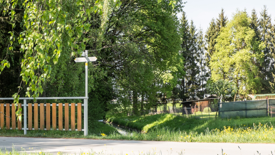 LEK Wahrnehmungsfahrt Ried April 2018_print (104) LEK Wahrnehmungsfahrt Ried April 2018_print (104)