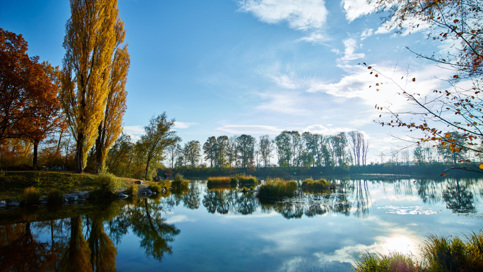 Alter_Rhein_10-2015_04 Marcel Hagen Alter_Rhein_10-2015_04 Marcel Hagen