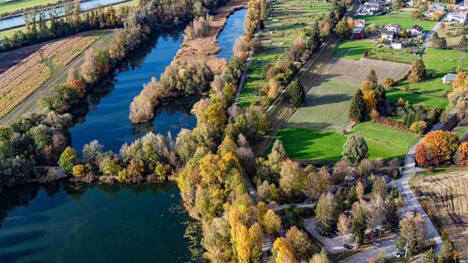 Alter Rhein Herbst