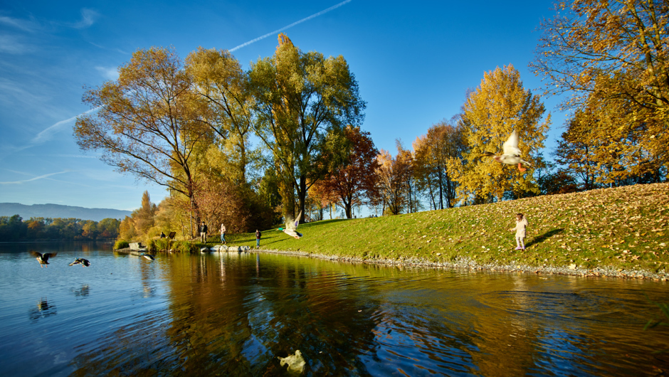 Alter Rhein Herbst